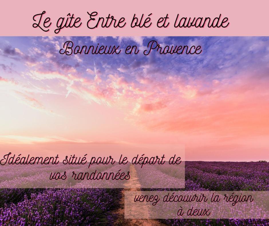 Entre Ble Et Lavande Apartment Bonnieux Bagian luar foto