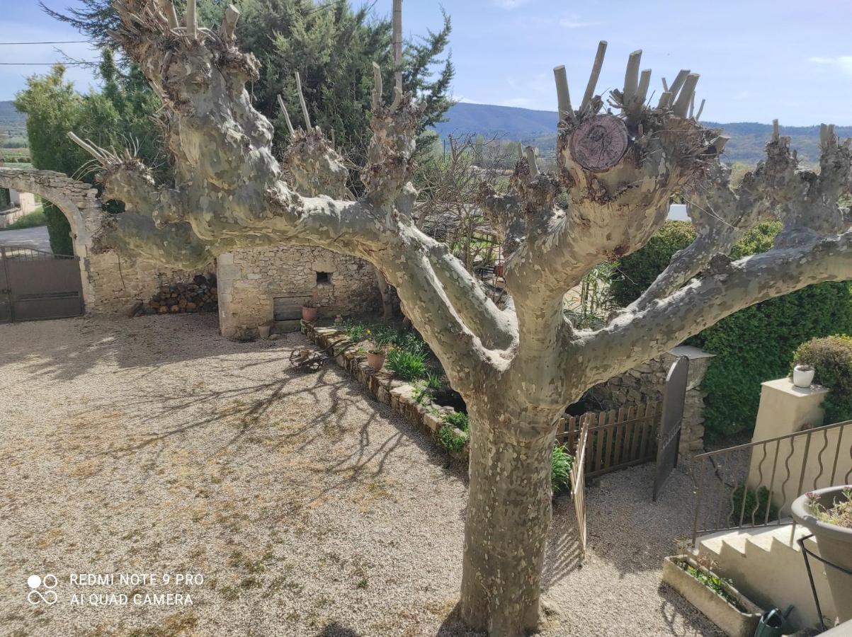 Entre Ble Et Lavande Apartment Bonnieux Bagian luar foto