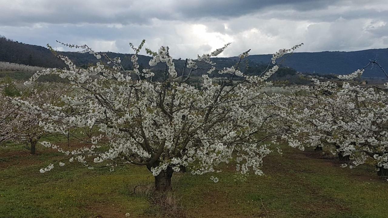 Entre Ble Et Lavande Apartment Bonnieux Bagian luar foto