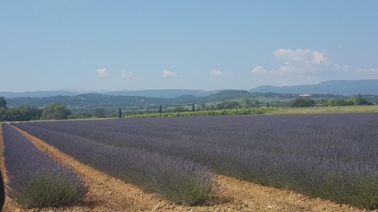 Entre Ble Et Lavande Apartment Bonnieux Bagian luar foto